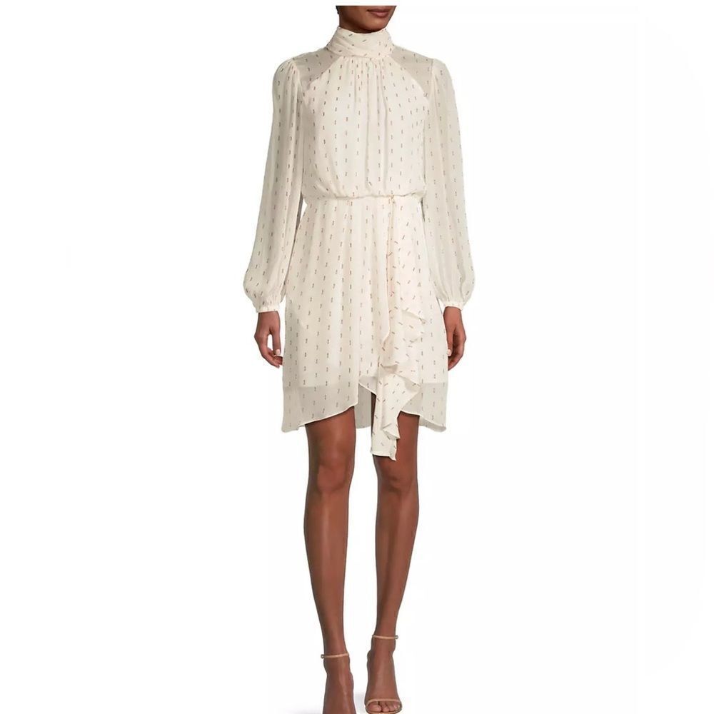 Toccin Harper Blouson Minidress size 4